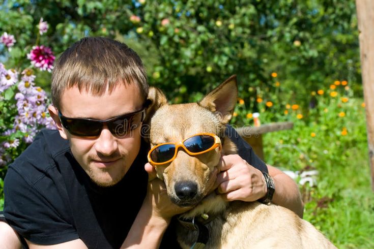 Homem segurando um cachorro